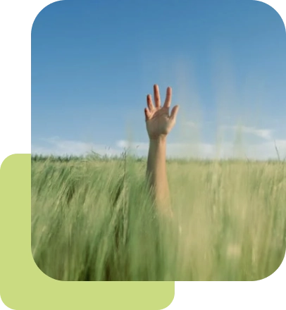 Hand